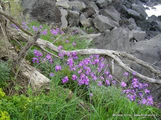 Acque_Grandi - 21-09-2014 17-53-10.jpg